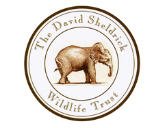 David Sheldrick Wildlife Trust