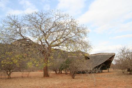 Ithumba Camp - David Sheldrick Wildlife Trust
