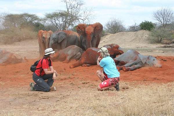 Ithumba, happy elephant orphan