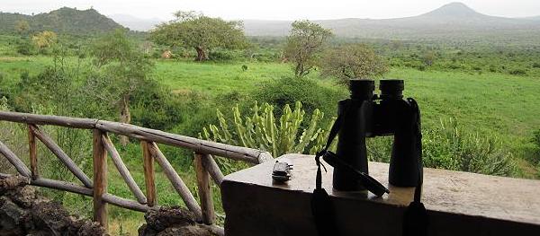 individuelle Tsavo Safari